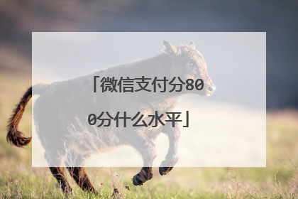 微信支付分800分什么水平