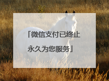 微信支付已终止永久为您服务