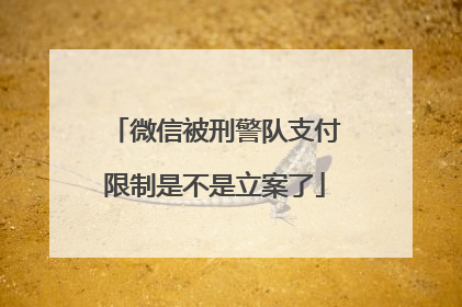 微信被刑警队支付限制是不是立案了