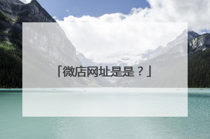 微店网址是是?