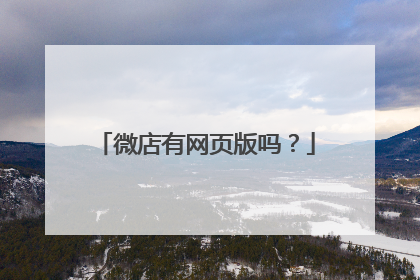微店有网页版吗?
