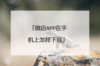 微店APP在手机上怎样下载