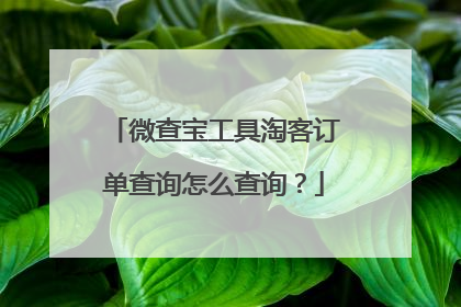 微查宝工具淘客订单查询怎么查询?