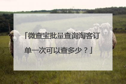 微查宝批量查询淘客订单一次可以查多少?