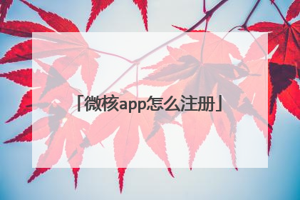 微核app怎么注册