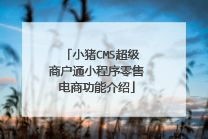 小猪CMS超级商户通小程序零售电商功能介绍
