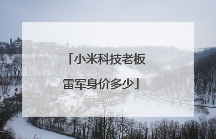 小米科技老板雷军身价多少