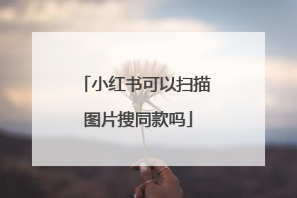 小红书可以扫描图片搜同款吗