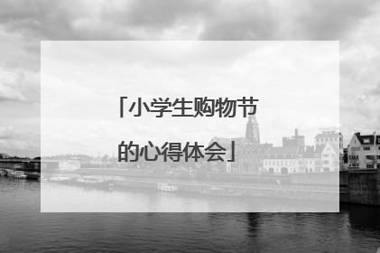 小学生购物节的心得体会