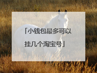 小钱包最多可以挂几个淘宝号