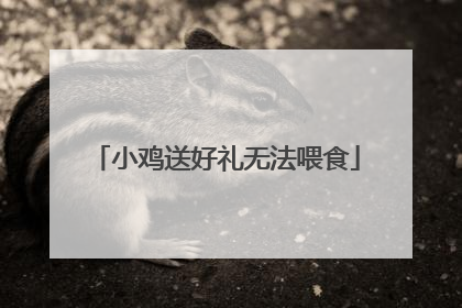小鸡送好礼无法喂食