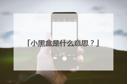 小黑盒是什么意思？