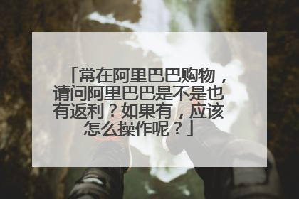 常在阿里巴巴购物,请问阿里巴巴是不是也有返利?如果有,应该怎么操作呢?