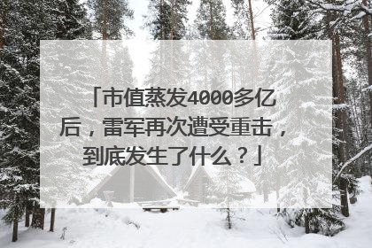 市值蒸发4000多亿后,雷军再次遭受重击,到底发生了什么?