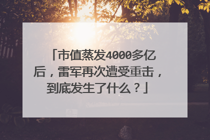 市值蒸发4000多亿后,雷军再次遭受重击,到底发生了什么?