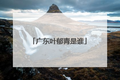 广东叶郁青是谁