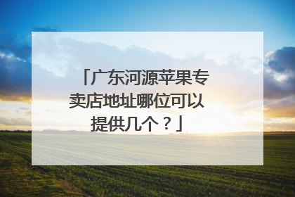 广东河源苹果专卖店地址哪位可以提供几个？