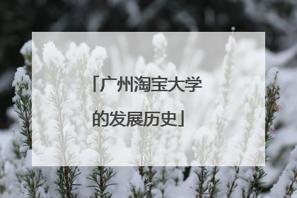 广州淘宝大学的发展历史