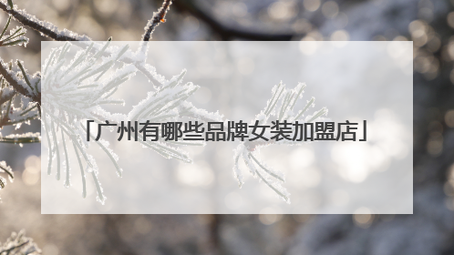 广州有哪些品牌女装加盟店