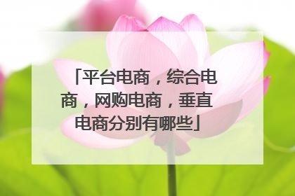 平台电商,综合电商,网购电商,垂直电商分别有哪些