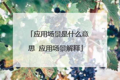 应用场景是什么意思 应用场景解释