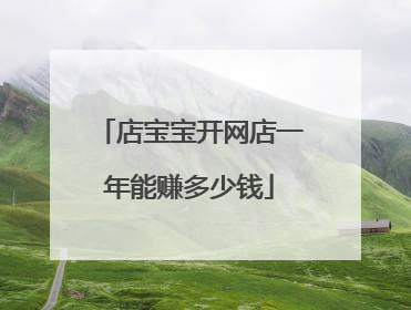 店宝宝开网店一年能赚多少钱