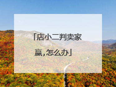 店小二判卖家赢,怎么办
