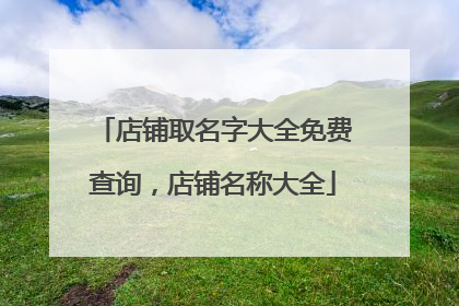 店铺取名字大全免费查询,店铺名称大全