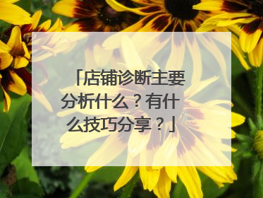 店铺诊断主要分析什么？有什么技巧分享？