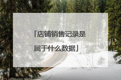店铺销售记录是属于什么数据