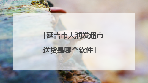 延吉市大润发超市送货是哪个软件