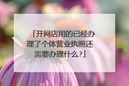 开网店用的已经办理了个体营业执照还需要办理什么?