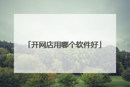 开网店用哪个软件好