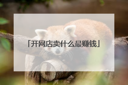 开网店卖什么最赚钱