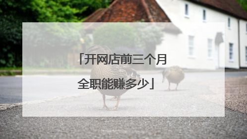 开网店前三个月全职能赚多少