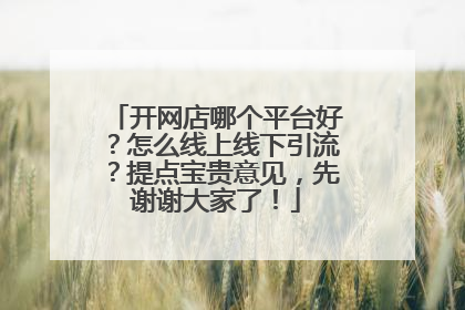 开网店哪个平台好？怎么线上线下引流？提点宝贵意见，先谢谢大家了！
