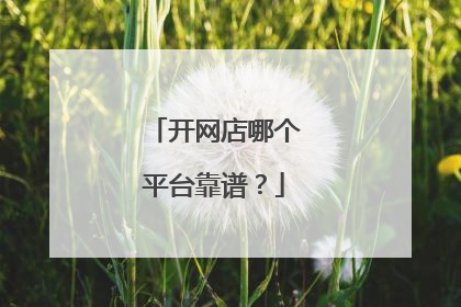 开网店哪个平台靠谱?