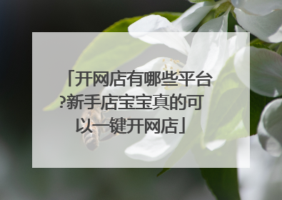 开网店有哪些平台?新手店宝宝真的可以一键开网店