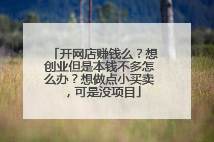 开网店赚钱么？想创业但是本钱不多怎么办？想做点小买卖，可是没项目