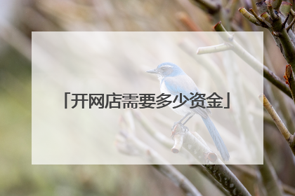 开网店需要多少资金