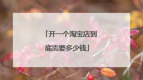 开一个淘宝店到底需要多少钱