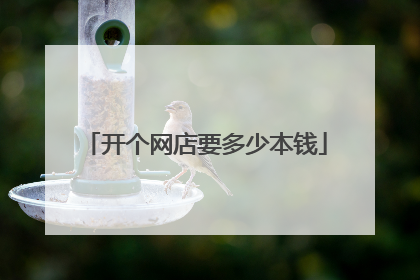 开个网店要多少本钱
