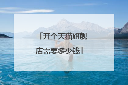 开个天猫旗舰店需要多少钱