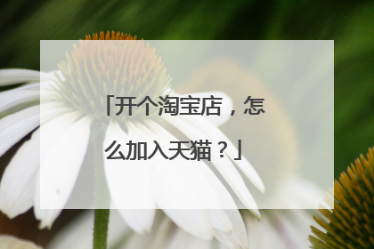 开个淘宝店,怎么加入天猫?