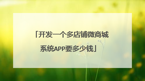 开发一个多店铺微商城系统APP要多少钱