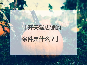 开天猫店铺的条件是什么？