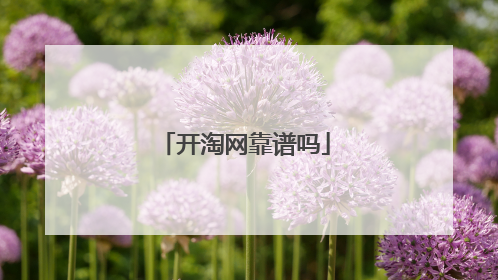 开淘网靠谱吗