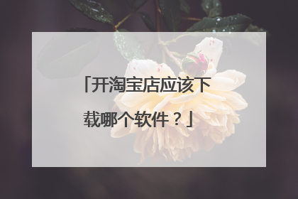 开淘宝店应该下载哪个软件?