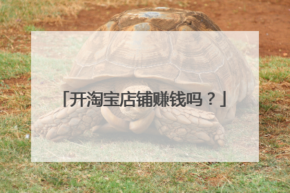 开淘宝店铺赚钱吗?