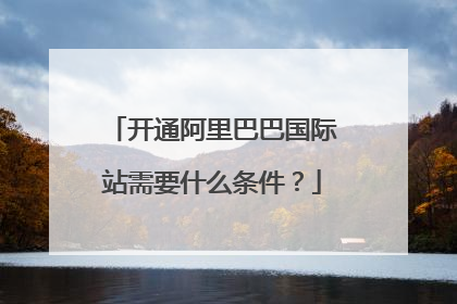 开通阿里巴巴国际站需要什么条件?